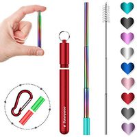 Sunnywoo Collapsible Reusable Straws,Portable Stainless Steel Metal Drinking Foldable Straw with Red Travel Case & Cleaning Brush & Keychain & Silicon Tips for Adults and Kids (Rainbow Straw)