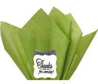 48Sheets Oasis Green 20" x 30"Large Gift Wrap & Large Flower Decoration Crafting Tissues Paper with Decorative Thanks Gift Tags