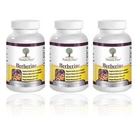 Premium Berberine HCl 500mg - 360 Capsules - Cardiovascular gastrointestinal Immune Weight Loss Support- Chromium Cinnamon