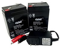 2 Pack 6v 5ah with Charger Casil 650 Rechargeable Deer Game Feeder Battery