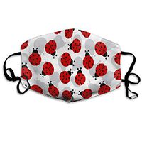 Women & Men Earloop Half Face Mouth Masks Face Masks Anti-Dust Face and Nose Cover - Soft Windproof Cosplay Mouth Mask for Kids Youth Boys Girls (Ladybugs Cartoon Cute)