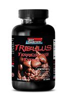 Testosterone Booster for Men tribulus - TRIBULUS TERRESTRIS Extract 1000MG - Muscle Strength - Tribulus terrestris for Men - 1 Bottle 60 Tablets