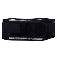 Niome Waist Belt Adjustable Self-Heating Therapy Magnetic Lumbar Support Brace Back Protector Pain Relief Unisex M