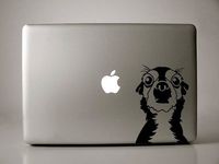 Oscar the Short-haired Chihuahua Decal for 13" Macbook