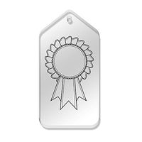 Azeeda 10 x 'Blank Rosette' 66mm x 34mm Clear Tags (TG00072553)