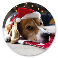 Santa Puppy Christmas Envelope Seals - Set of 144 Self-Adhesive, Flat-Sheet, 1-1/2" Sticker Seals, By Colorful Images