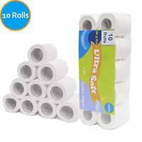 Toilet Paper 4-Ply Soft Smooth Strong Toilet Tissue for Daily Use,80g per Roll, 10Rolls