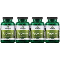 Swanson Pygeum Prostate Support Urinary Tract Health Men Herbal Supplement 100 mg Pygeum Extract (6.5% phytosterols) with 400 mg Powdered Bark 120 Capsules (4 Pack)