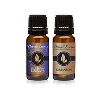 Pair (2) - Blueberry Pancakes & Cinnabon - Premium Fragrance Oil Pair - 10ML