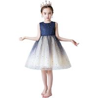 Driuankeji Big Girls' Special Occasion Lace and Tulle Dress Toddler Baby Kids Party Dress Princess Dresses Blue