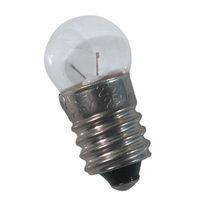 Coil Raylite Tunsten Light Bulb