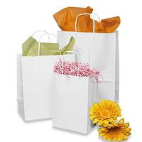White Shopping Bags | Quantity: 25 | Width: 18" Gusset - 7"