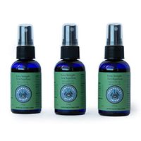 Nantucket Spider Natural Tick Repellent - DEET Tick Repellent for Humans, Adults, Kids - Organic Essential Oils - DEET Free Natural Tick Repellent - 2 fl oz Travel-Size, Pack of 3