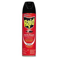 Raid - Ant & Roach Killer, 17.5oz Aerosol CB216135 (Dmi Ea