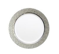 Hammered Effects Elegant China-like Disposable 9 Inch Plates, White and Silver, 10 Count (Pack of 4)