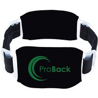 ProBack Back Brace Size: Large