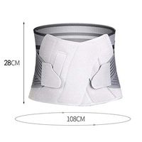 AALH Premium Quality Back Brace with Removable Lumbar Pad for Lower Back Pain Relief Support Belt for Treatment of Sciatica, Scoliosis, Herniated Disc or Degenerative Disc Disease,L