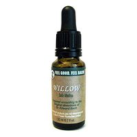 Feel Bach! Flower Willow 20 ml