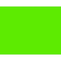 BAZIC  22" X 28" Fluorescent Green Poster Board (Case of 25)