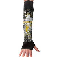 BaPaLa Flag of Nebraska Eagle Sports Arm Sleeves Cooling Or Warmer UV Sun Protection Compression Arm Sleeve for Women& Men Suit for Cycling,Running,Golf, Basketball,Football 1 Pairs