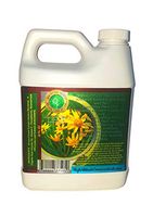 Arnica Oil Extract (Arnica Montana) - 32 oz - Pure and Potent- Anti-inflammatory for Sore Muscles, Bruises, Sprains, Fractures, Natural Pain Remedy, Sunburn, Post-Surgery Bruising.