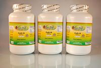 CoQ-10 Q10 coq10 co-Enzyme 600mg - 900 (3x300) Capsules