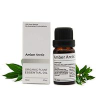 Camphor Essential Oil Aromatherapy 100% Pure Oil for Diffuser, Massage, Skin Care - 10ML