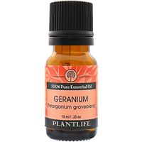 Geranium 100% Pure Essential Oil - 10 ml
