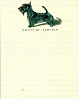 Scottish Terrier Note Cards with Envelopes Set of 12