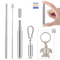 Numola Telescopic Reusable Straws, Portable Metal Straw with Sea Turtle Keychain&Cleaning Brush, Save The Turtle Straw for Travel, Home,Office(Silver)