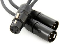 Pro Co 1 FootYMXF2XM-1 XLRF to (2) XLRM Y-Cable