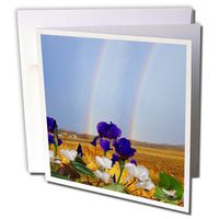 3dRose Rainbows and Irises - Greeting Cards, 6 x 6 inches, set of 12 (gc_14368_2)
