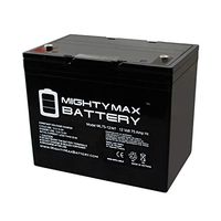 Mighty Max Battery 12V 75Ah Internal Thread Replacement Battery for Suiter Wheelchair Brand Product