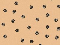 Verazui paw Print Kraft Pack of 5 Animal Print Gift Grade Tissue Paper Sheets 15" x 20"