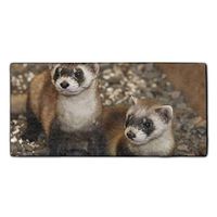 Ferrets Two Stone Microfiber Multi-Purpose Cleaning Towels Perfect for Kitchens, Dishes, Car, Dusting, Drying Rags, 11.8 x 27.5 Inches