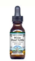 White Dead Nettle - Glycerite Liquid Extract (1:5) - Mint Flavored (1 fl oz, ZIN: 428350) - 3 Pack