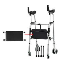 GYZ GY Folding Walker, Mobility Aid for Elderly, Disabled, Handicapped Collapsible Portable Multi-Purpose Walker，Carrying Capacity 100kg Medical Supplies (Color : D)