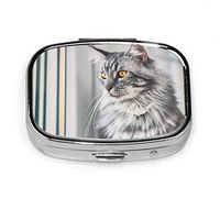 Pill Organizer Case, Vintage Style Photo Beautiful Maine Coon Portable Pill Box Small Pill Container for Purse Or Pocket, Square Pill Box (2 Compartment)
