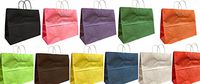Extra Large (Vogue) Size Kraft Shopping Bags 16 W x 12 H x 6 Gusset, Set of 25 (Various Colors)