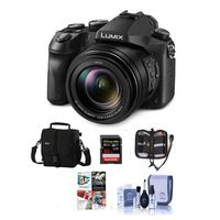 Panasonic Lumix DMC-FZ2500 Digital Camera - Bundle with Camera Case, 32GB SDHC U3 Card, Memory Wallet, Cleaning Kit, SD Card Reader, PC Software Package