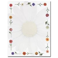Great Papers! Daisies Letterhead