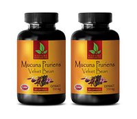 Anti Stress Supplement - MUCUNA PRURIENS Extract 350 MG - Velvet Beans - Memory and Nerve Support - 2 Bottles 120 Capsules
