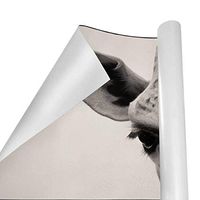 Gift Wrapping Paper Roll Vintage Giraffe for Birthday,Holiday,Wedding,Baby Shower Gift Wrap - 3Rolls - 58inch x 23inchPerRoll