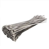 Vktech 100pcs Stainless Steel Exhaust Wrap Coated Locking Cable Zip Ties 4.6*200mm