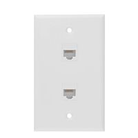 Ethernet Wall Plate, 2 Port Cat 6 RJ45 Keystone Female to Female Wall Plate Compatible with Cat7/6/6e/5/5e Ethernet Devices(2 x Screws Included)