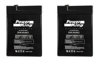 Wild Game Innovations Replacement Battery 6-Volt eDRENALINE Tab Style Rechargeable Battery - 2 Pack Beiter DC Power