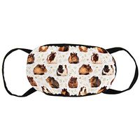 Women & Men Earloop Half Face Mouth Covers Mouth Cover Dustproof - Premium Windproof Camping Cool Mouth Cover for Kids Youth Boys Girls (Guinea Pigs)