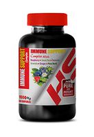 Brain and Memory Support - Immune Support Complex 1550 Mg with Raspberry Green Tea Turmeric GRAVIOLA Grape Pine BARK - Raspberry Extract Supplement - 1 Bottle 60 Capsules