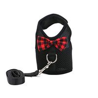 AQUEENLY Adjustable Rabbit Harness and Leash, Soft & Breathable Bunny Harness with Elastic Leash for Walking, Jogging (Black)