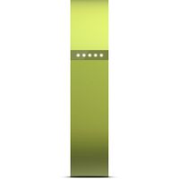 Fitbit Flex Wireless Activity + Sleep Tracker Lime